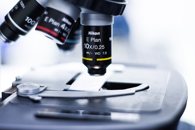 N,N-二甲基環己胺DMCHA,平衡硬泡發泡和凝膠反應,優化泡孔結構